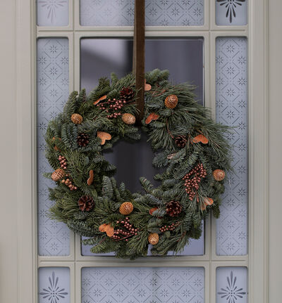 Dørkrans natur Dørkrans natur